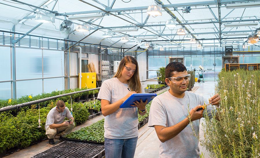 Greater Des Moines Ag Jobs and Careers in Agriculture